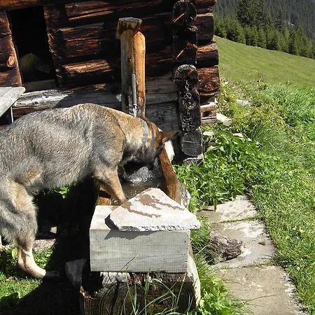 Apartmán Garber Uderns