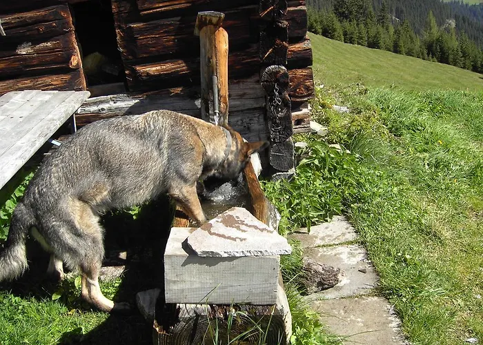 Διαμέρισμα Garber Uderns